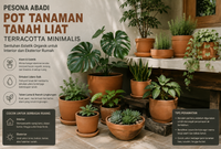 Pesona Abadi Pot Tanaman Tanah Liat Terracotta Minimalis